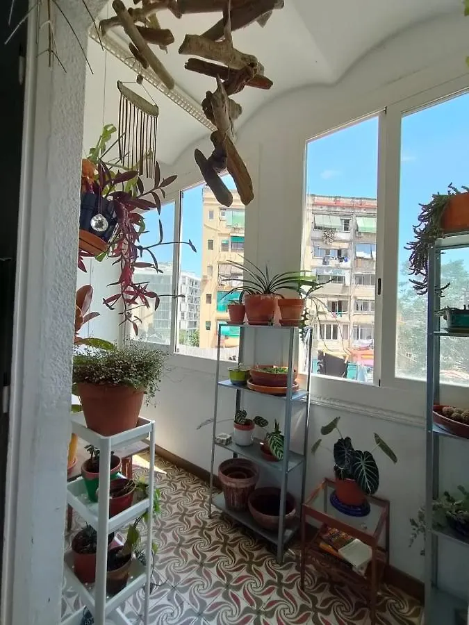 Pequeno Y Encantador Oasis En Barcelona Spain