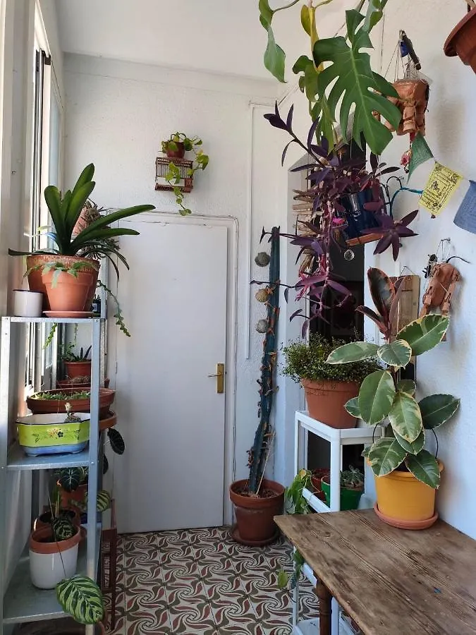 Apartment Pequeno Y Encantador Oasis En Barcelona